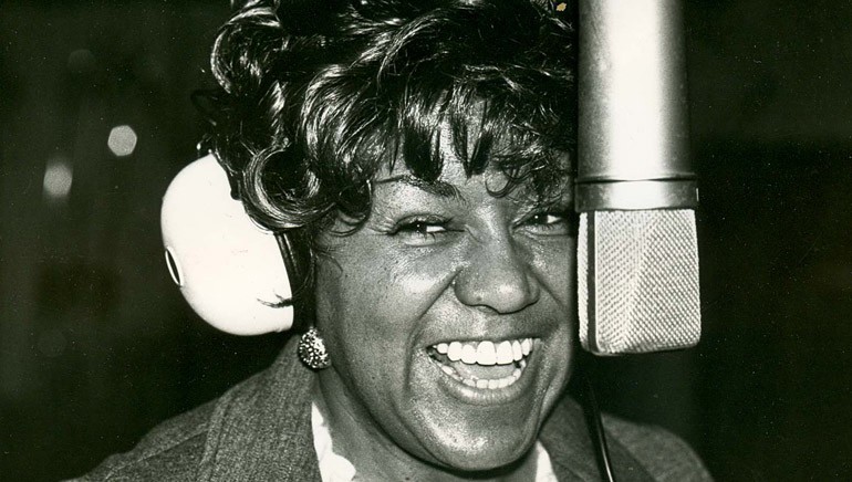 Biography Copy for the University of Arkansas Press